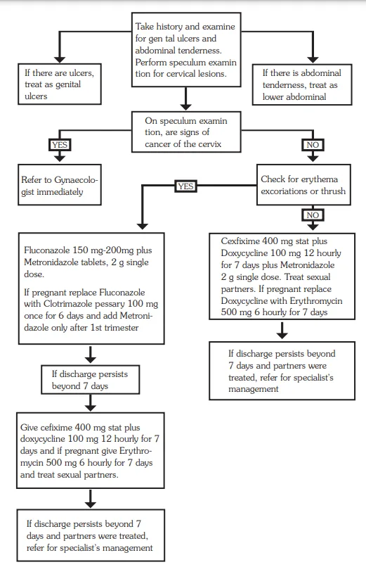 Abnormal Vaginal Discharge Syndome Flow Chart