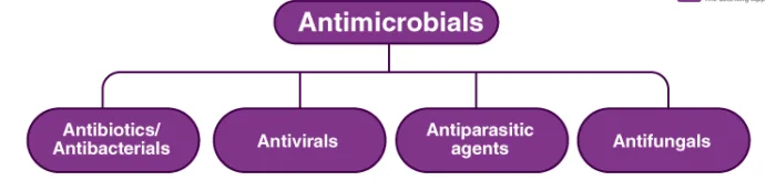 Antimicrobial Agents 700x224 1 E1736312501707