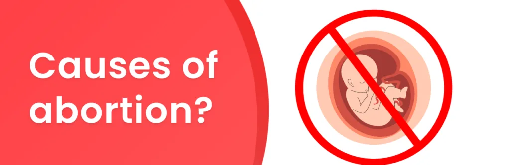 Causes Of Abortion E1705334851136