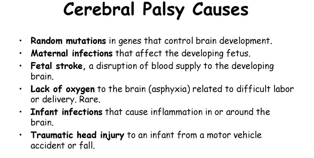 Causes Of Cerebral Palsy E1703153472697