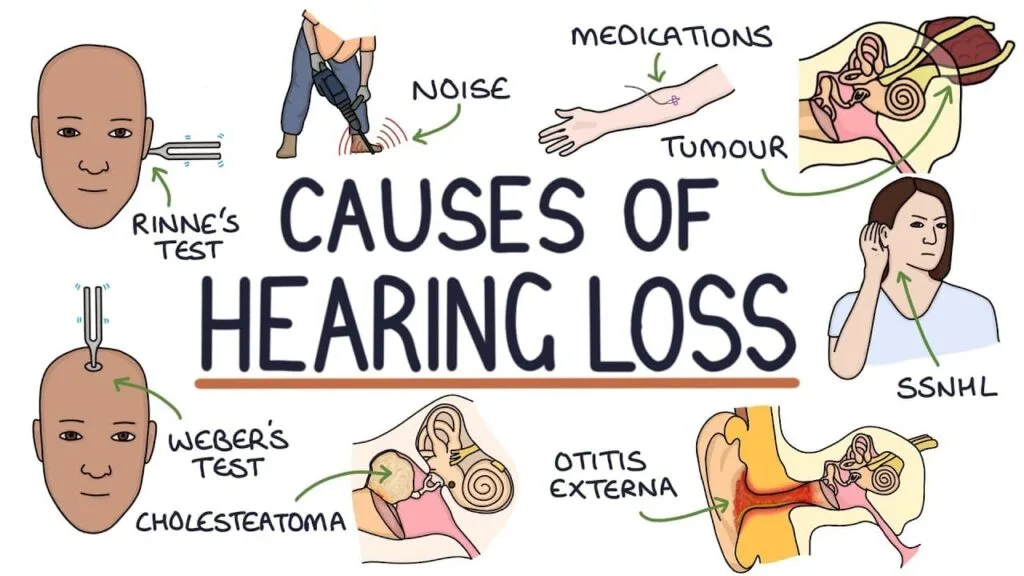 Causes Of Hearing Impairment 1