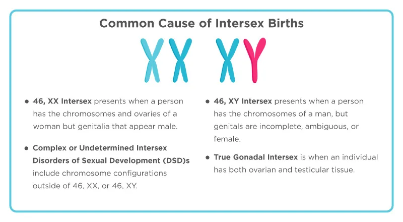 Causes Of Intersex Conditions