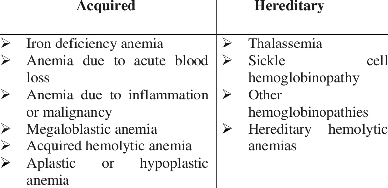 Causes Of Anaemia In Pregnancy