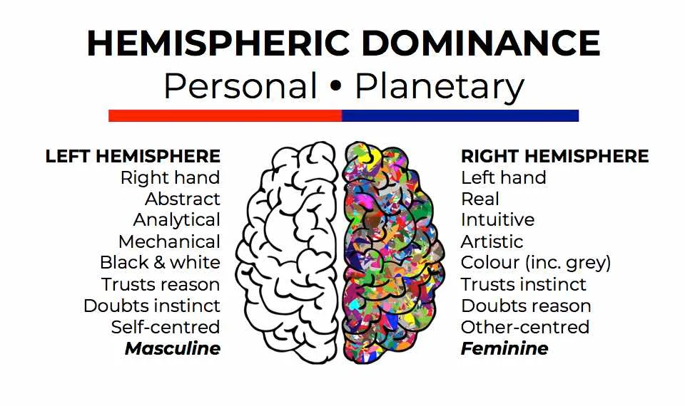 Cerebral Dominance