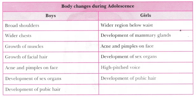 Changes During Adolescence