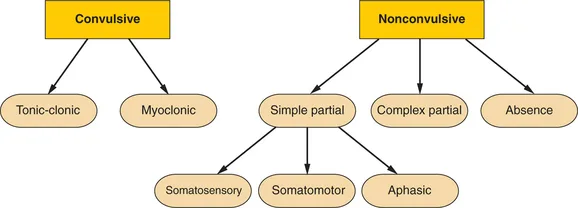Classification Of Status Epilepticus