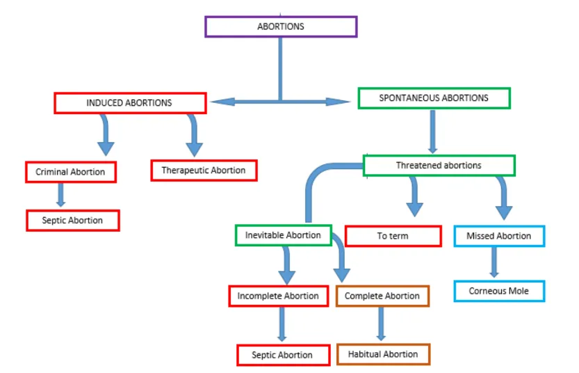 Classifications Of Abortions