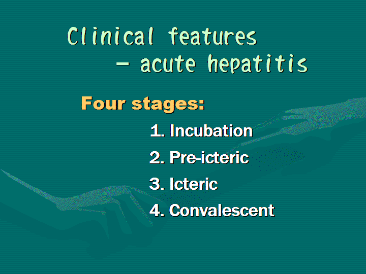 Clinical Features Of Viral Hepatitis Phases