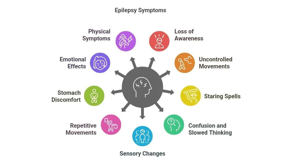 Clinical Manifestations Seizure And Epilepsy Types