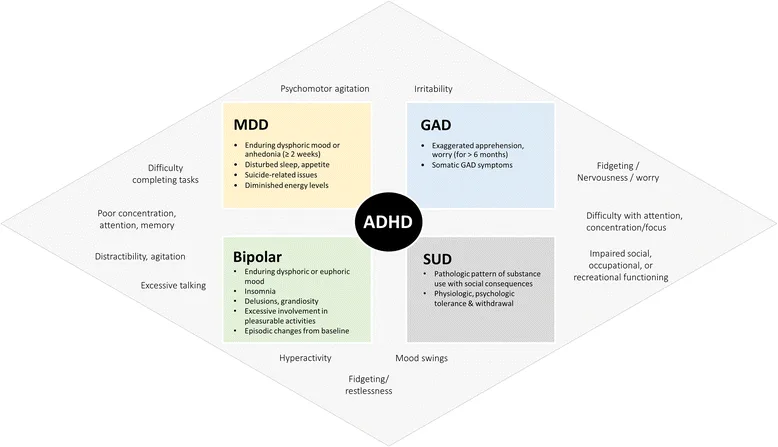 Clinical Manifestations And Common Comorbidities Of ADHD