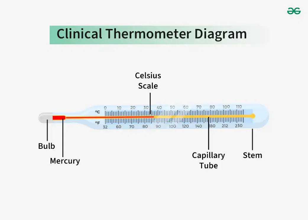 Clinical Thermometer Diagram Copy