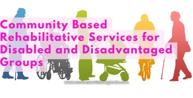 Community Based Rehabilitative Services For Disabled And Disadvantaged Groups 1