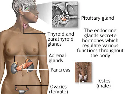 Conditions Causing Precocious Puberty E1703483619518