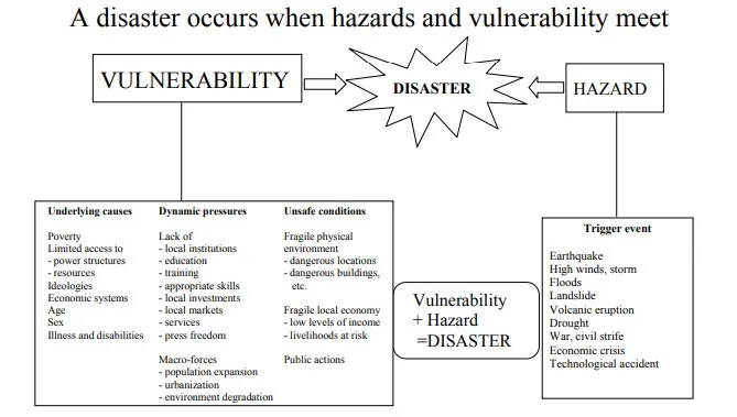 DISASTER P