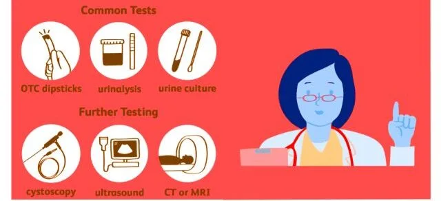 Diagnosis Of Urinary Tract Infection E1743148686113