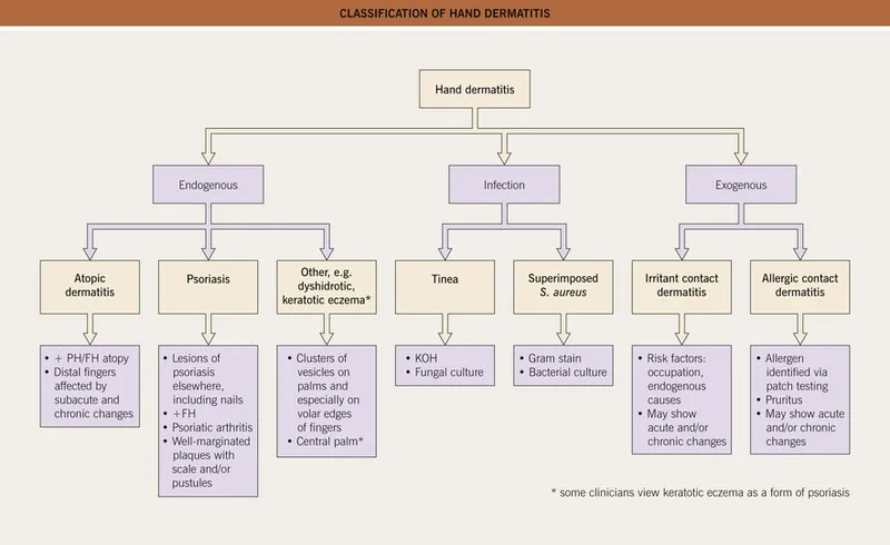 Diagnostic Approaches Of Dermatitis