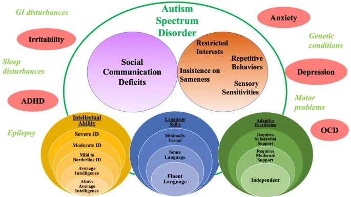 Diagnostic Criteria And Clinical Manifestations Of ASD 1