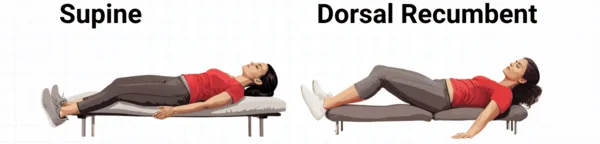 Dorsal Recumbent Position 1 1 E1747480652158