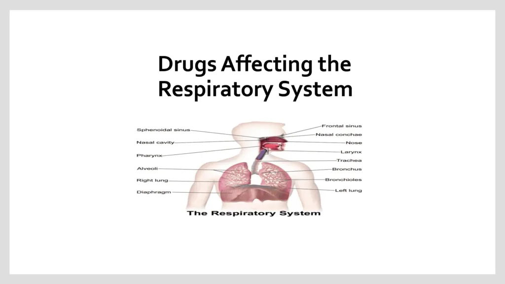 Drugs Acting On The Respiratory System 1
