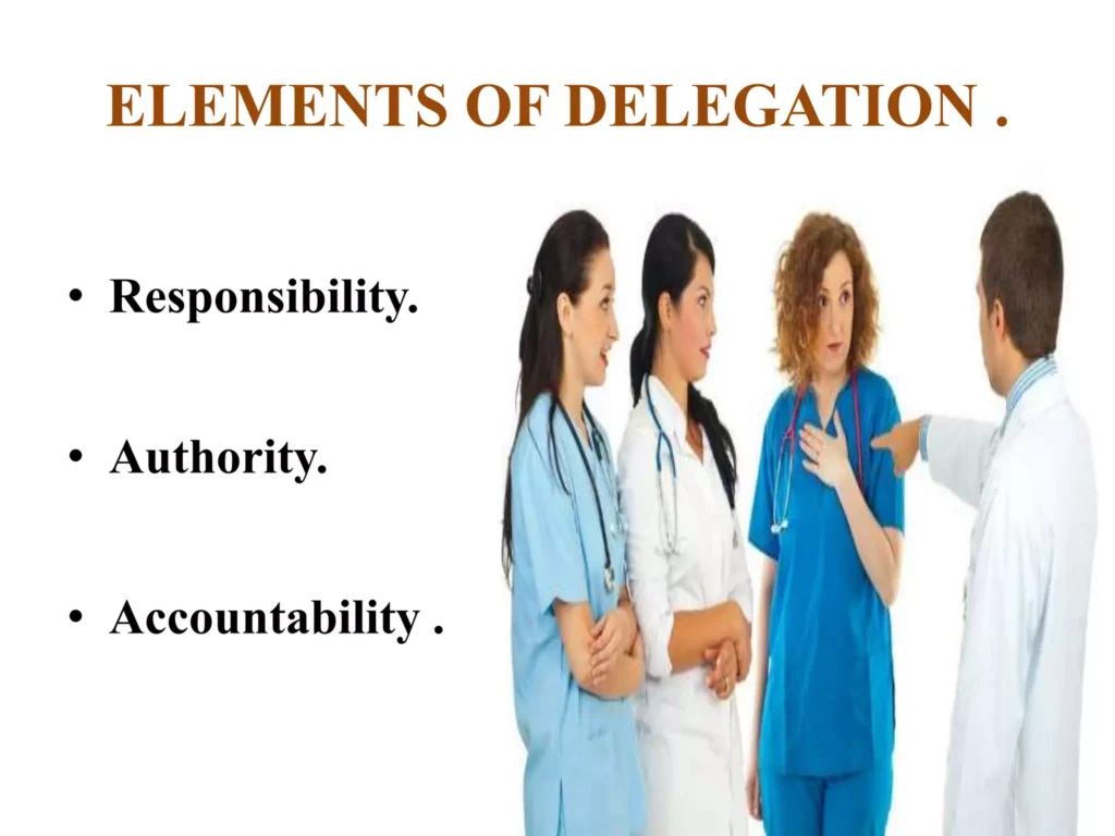 Elements Of Delegation