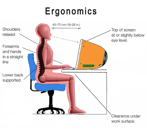Ergonomics