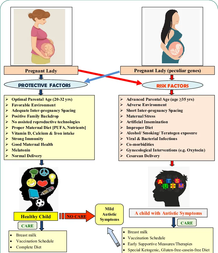 Etiology And Risk Factors For ASD