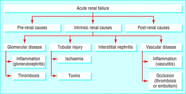 Etiology Of Acute Renal Failure 1