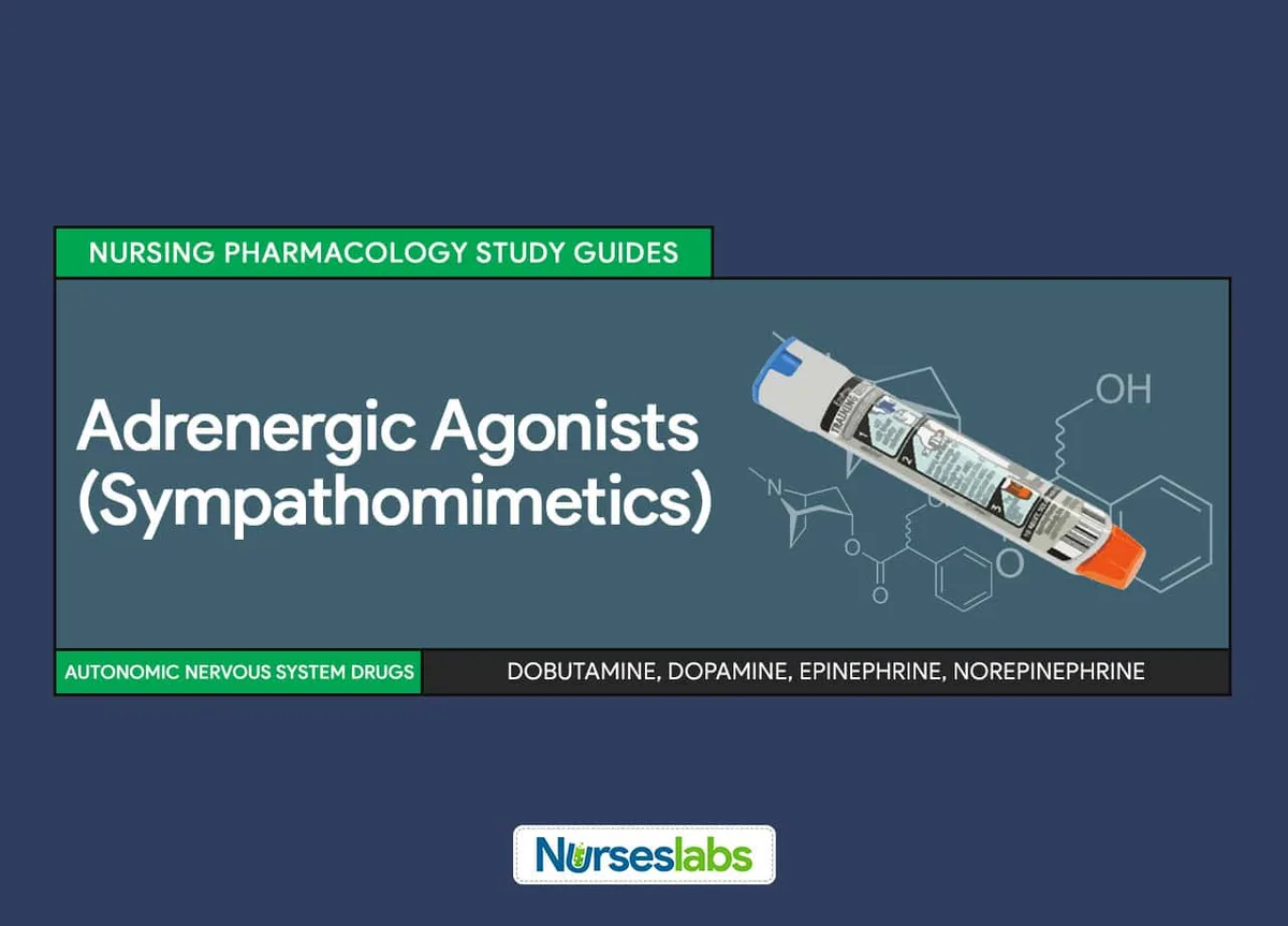 FT Adrenergic Agonists Sympathomimetics Nursing Pharmacology Study Guides
