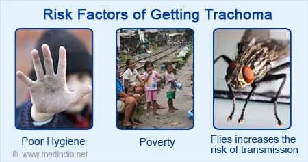 Factors Contributing To Spread And Persistence Of Trachoma