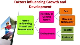 Factors Influencing Growth And Development