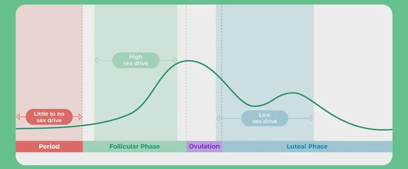 Factors That May Interfere With Menstrual Cycle Thereby Causing Menstrual Disorders E1705164140117