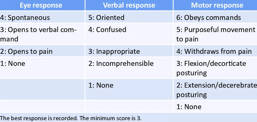 Glasgow Coma Scale For Adults