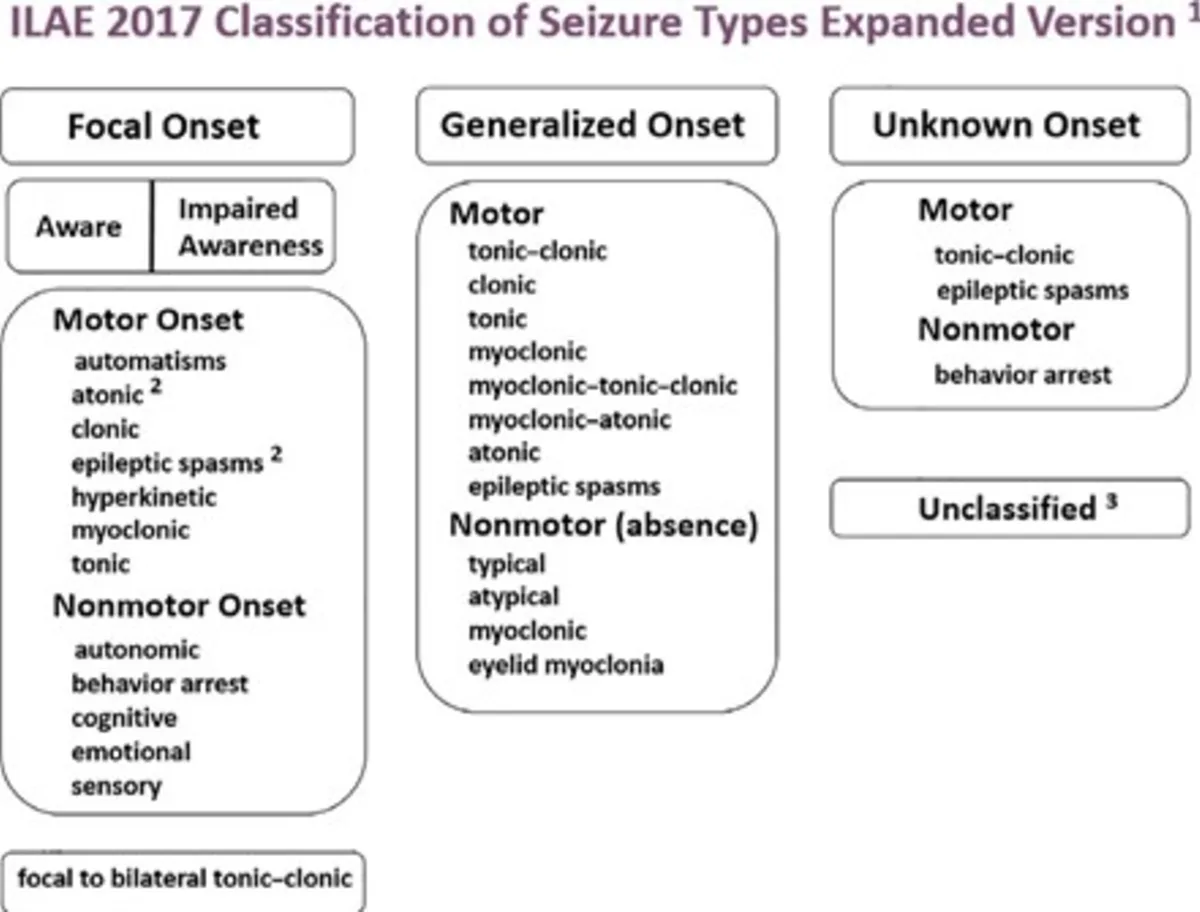 ILAE Classification Seizure And Epilepsy Types