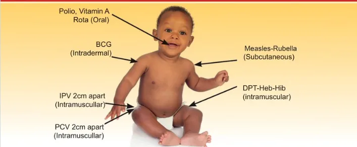 IMMUNIZATION BABY
