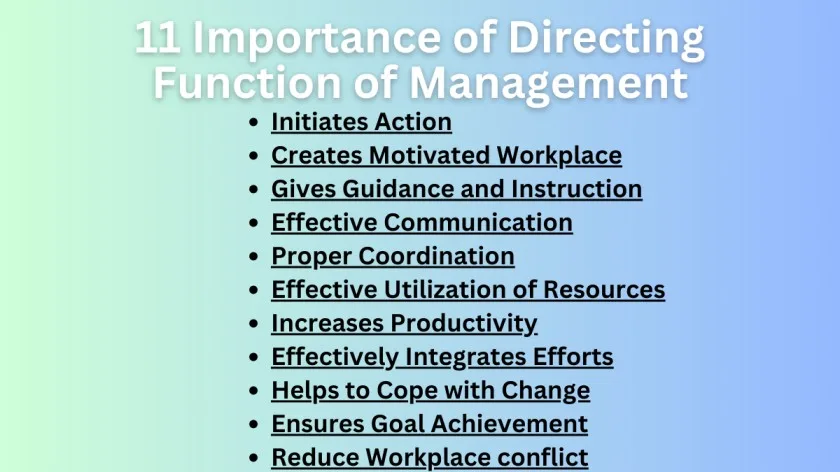 Importance Of Directing