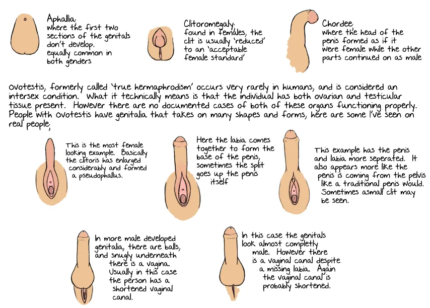 Intersex Types