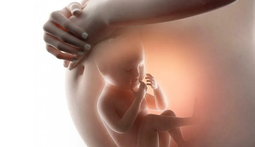 Introduction To Gynaecology
