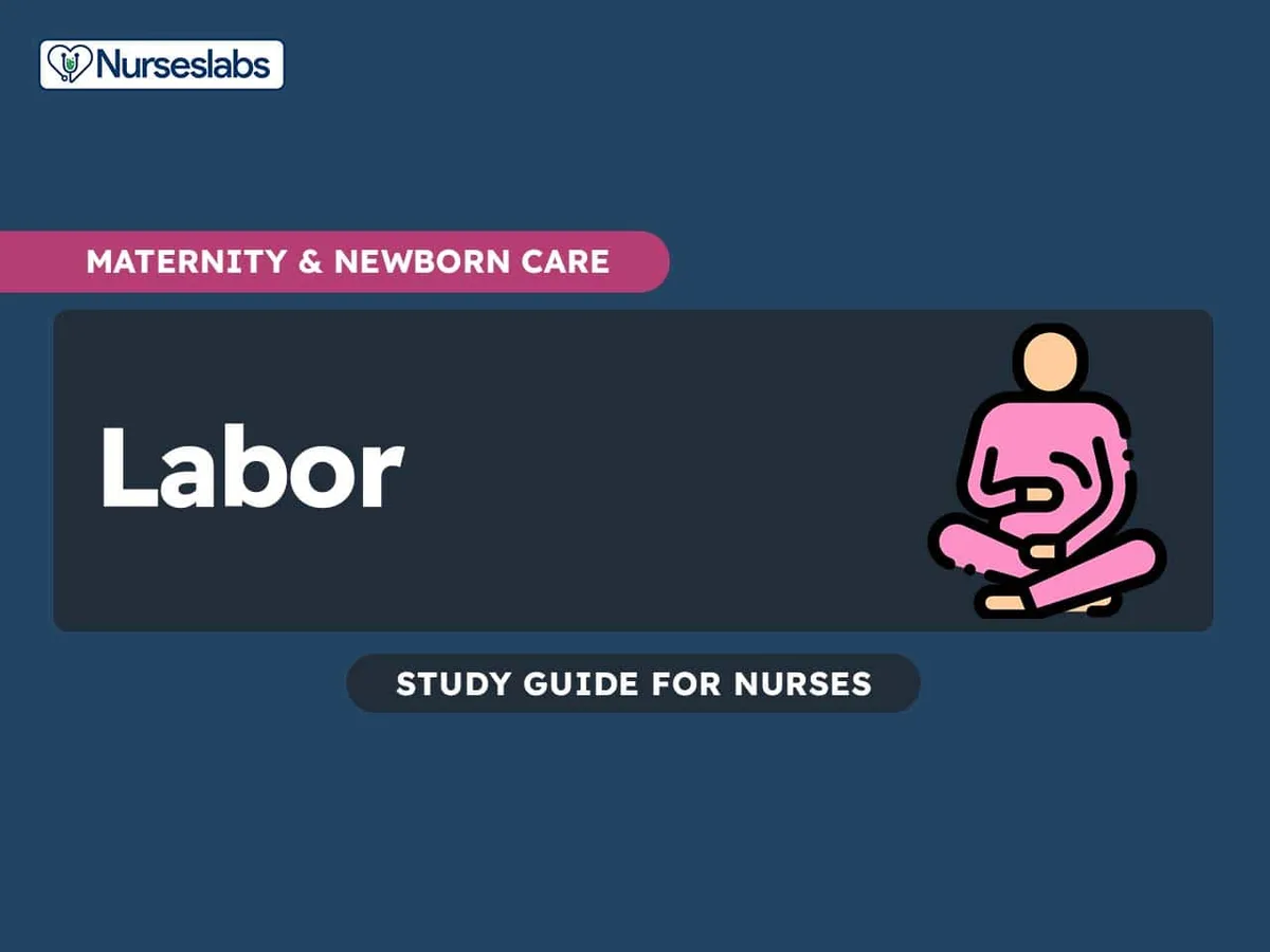 Labor And Its Complications Nursing Notes Study Guides