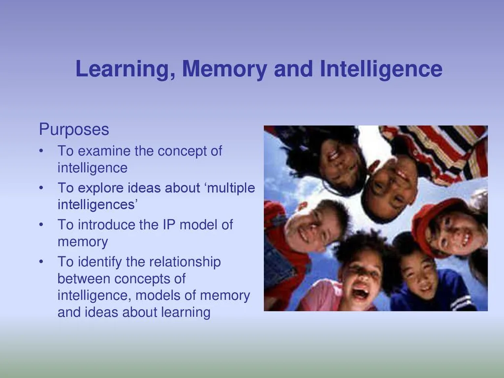 Learning Intelligence Memory And Motivation