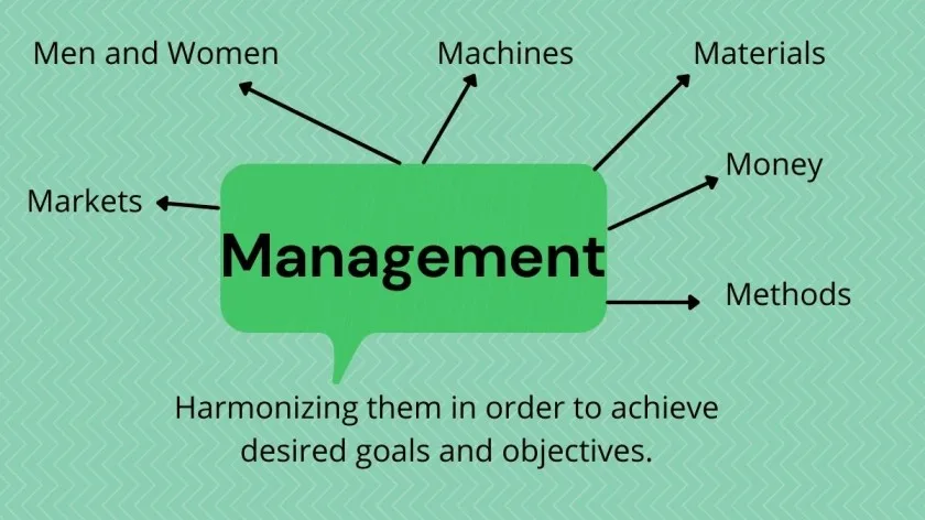 MANAGEMENT 1