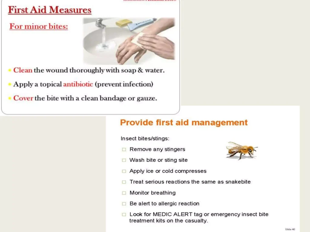 Management Of Insect Bites And Stings