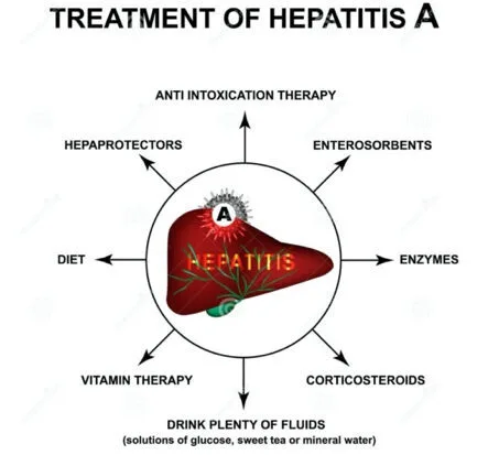 Management Of A Patient With Hepatitis