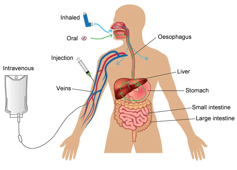Medicines Acting On Specific Body Systems