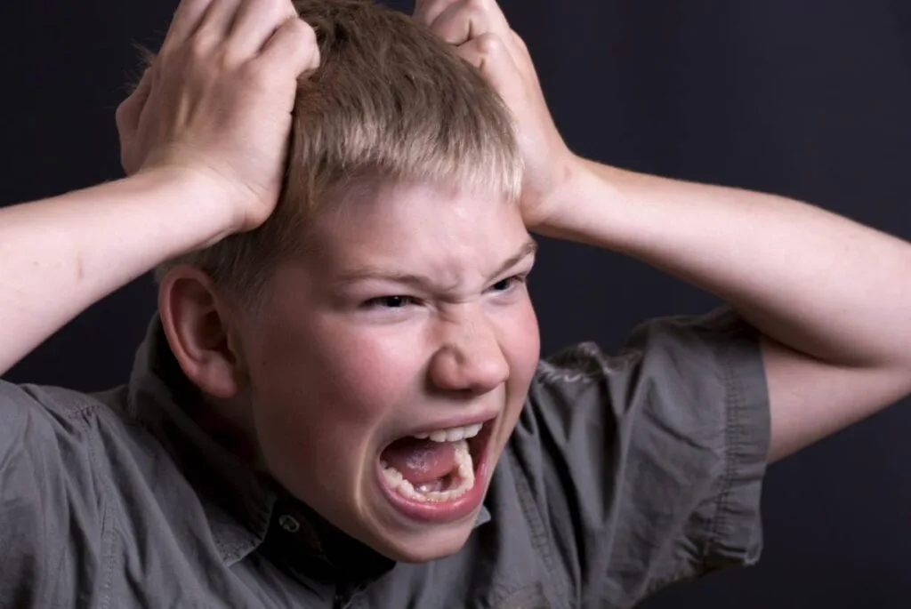 Mood Disorders In Children And Adolescents