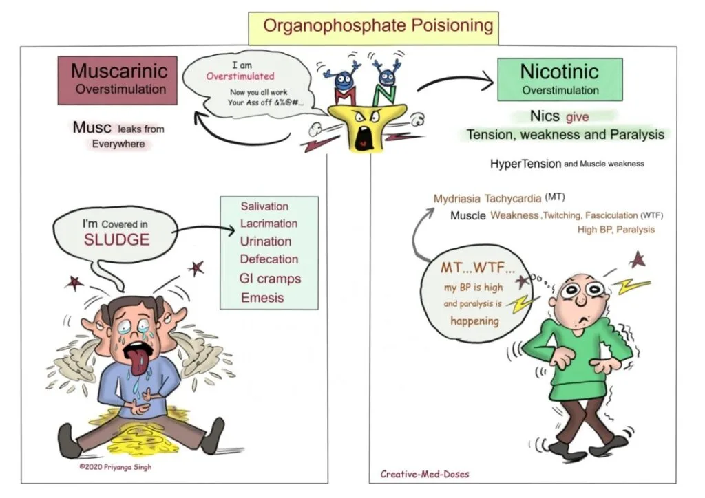 Organophosphates Poisoning Pathophysiology Signs