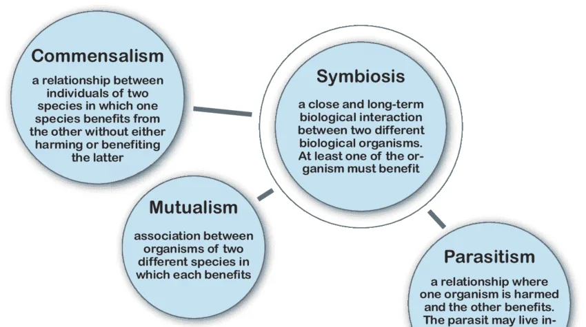 Overview Of Host Pathogen Relationship 1
