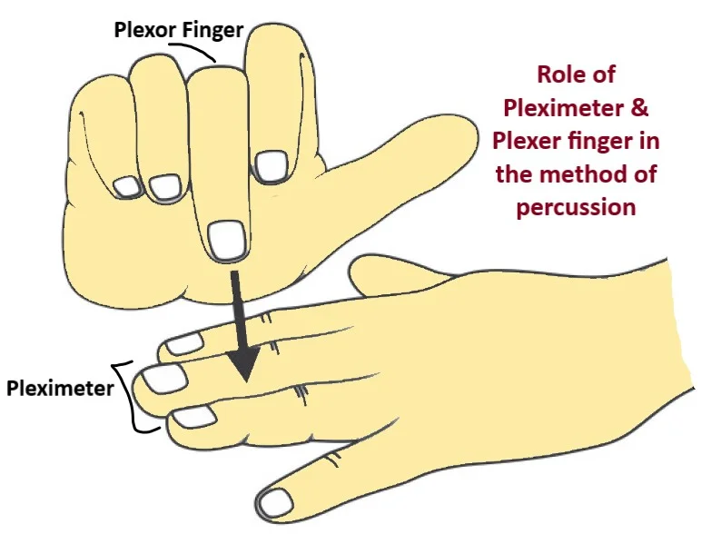 PERCUSSION METHOD Pleximeter And Plexer Finger