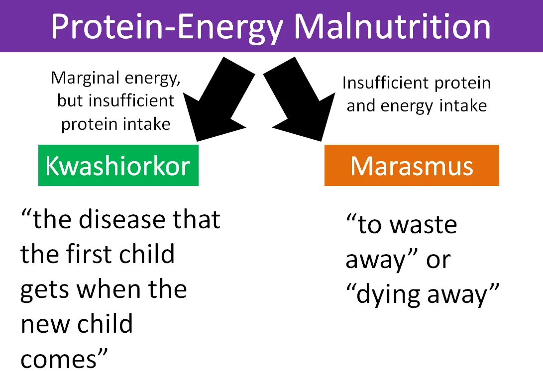 PROTEIN ENERGY MALNUTRITION