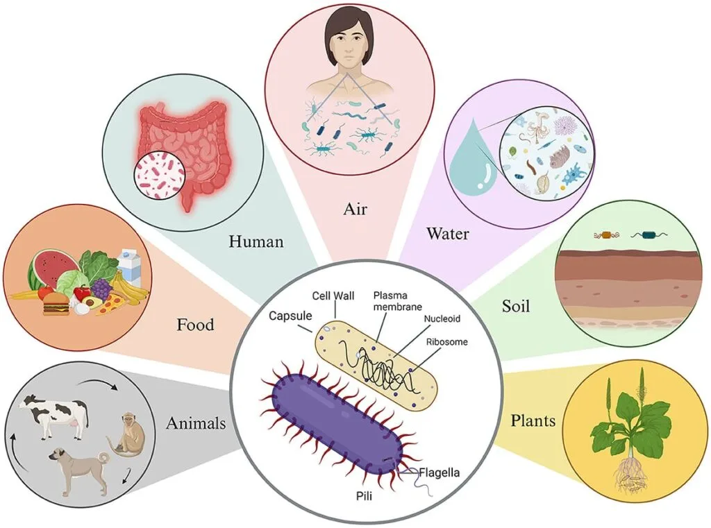 Pathological Effects Of Microorganisms Uhpab 1