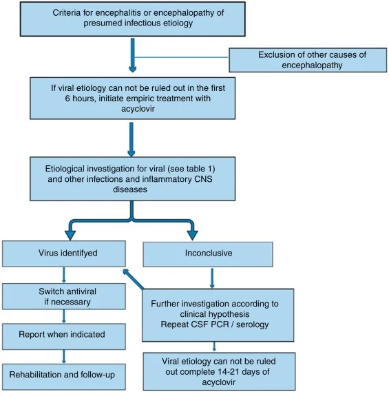 Pathophysiology Of Encephalitis